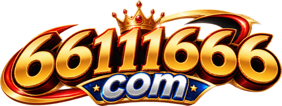 66111666 com